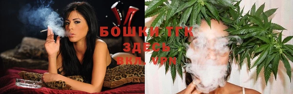 гидра Балахна