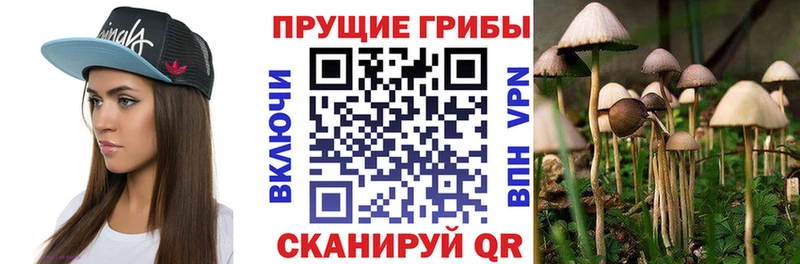 купить наркотики сайты  Воркута  Псилоцибиновые грибы мухоморы 