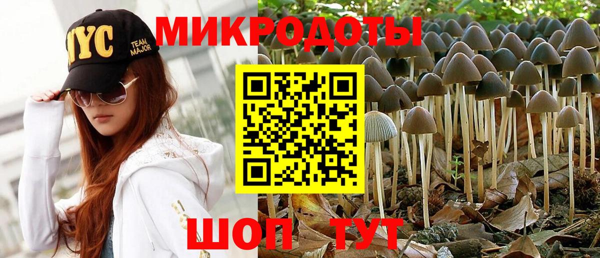 Галлюциногенные грибы GOLDEN TEACHER Воркута