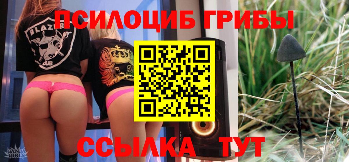 Галлюциногенные грибы Cubensis Воркута